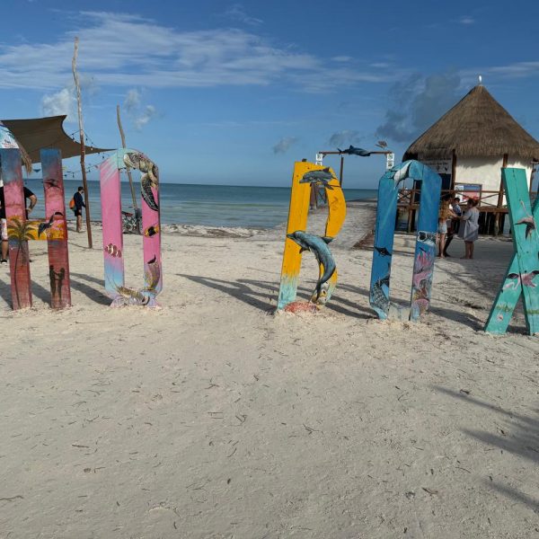 Holbox day tour + Cenote