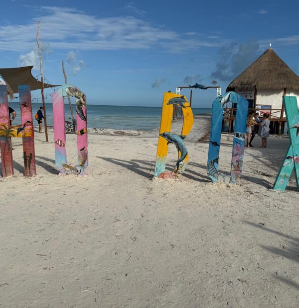 Holbox day tour + Cenote