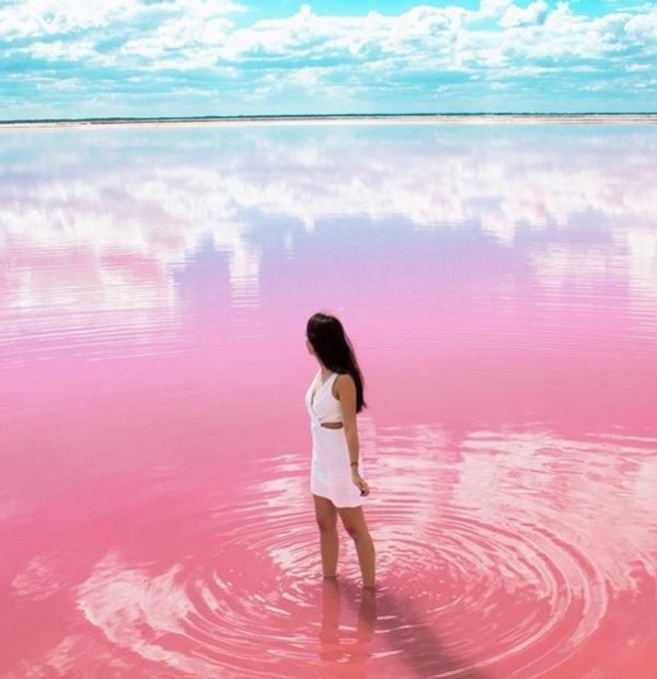 Coloradas and Rio Lagartos